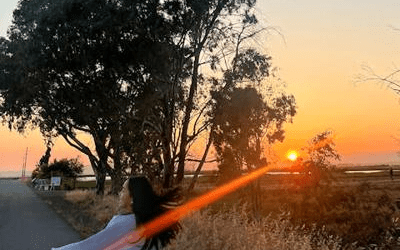 Our wetlands: the beating heart of American Canyon