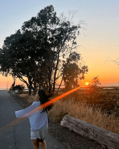 Our wetlands: the beating heart of American Canyon