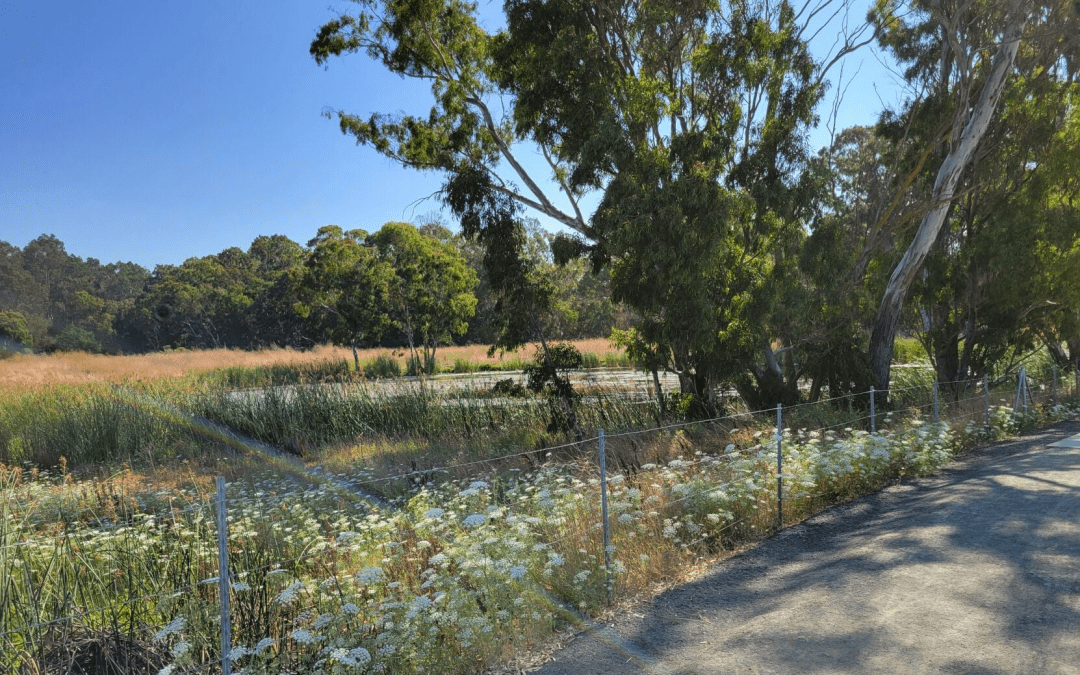Wildlife habitat conservation finds a new voice in Napa