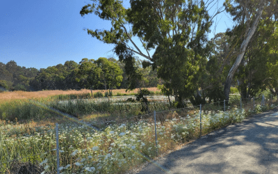 Wildlife habitat conservation finds a new voice in Napa